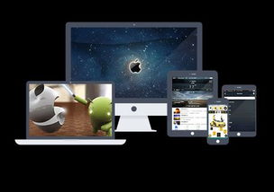 苏州APP软件开发外包服务选择注意事项