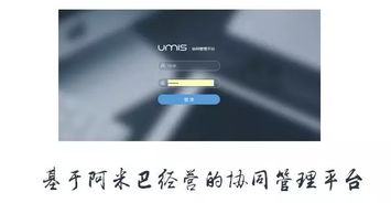 上海互联网软件集团 高端协同管理软件与咨询服务领军者