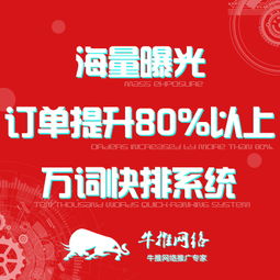 上海专业关键字优化软件公司 软件外包服务的全面解析