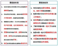 上海赛星软件外包服务的作用与优势分析
